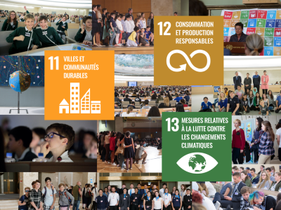 Image / illustration