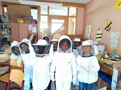 Image / illustration